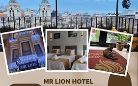 Mr Lion Kumkapi Otel